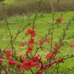 Spring = thoughts of war (sometimes)