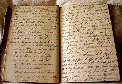 500px-Diary1878