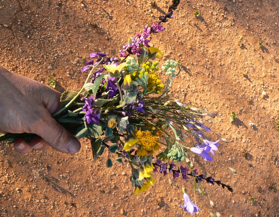 Bush Bouquet