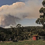 Bushfire Season