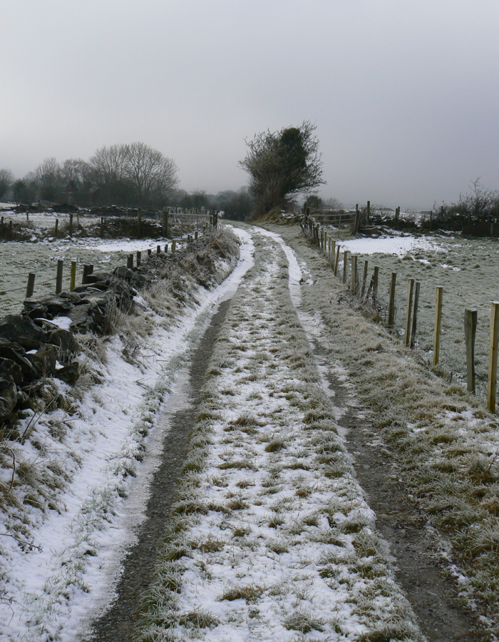 The lanes