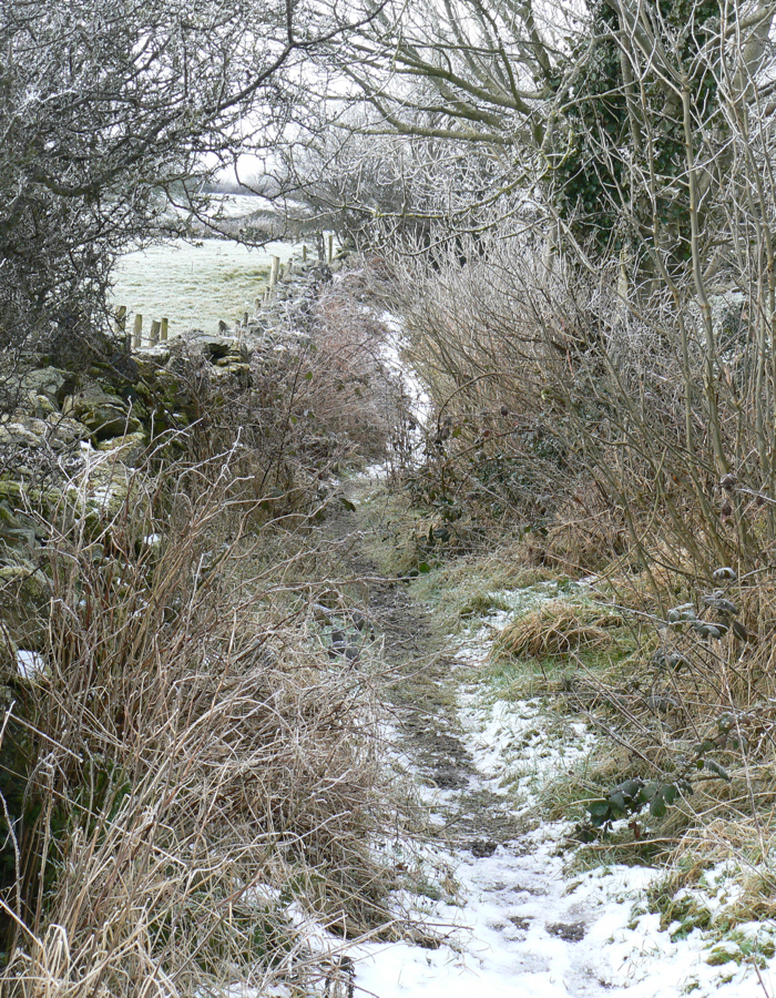 The lanes
