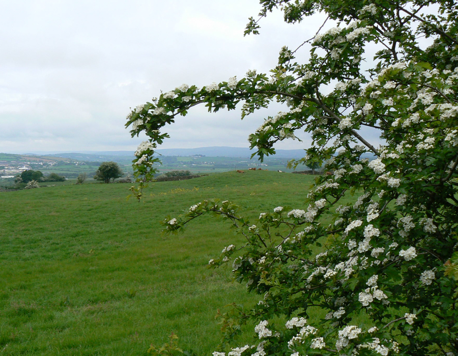 Looking towards County Donegal