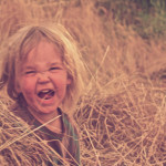 Cows, problems and childhood