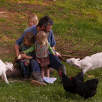 Reflections on a ‘pop-up’ farm.