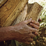 Playing with wood time is here again!